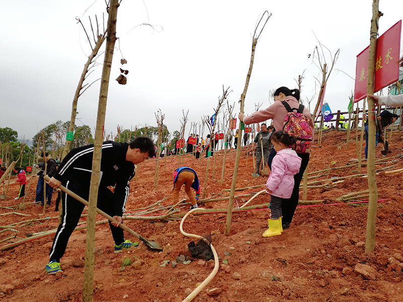 019年3月24日KTC参加“山海林城·宜居深圳”公益植树活动